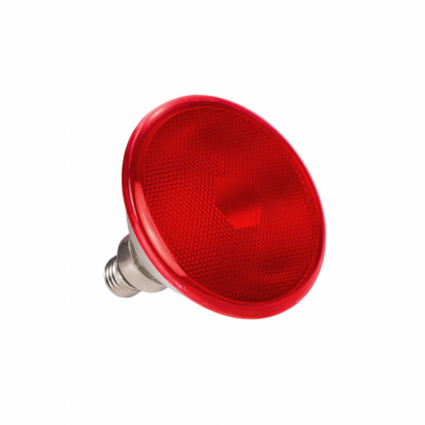 8W SMD LED PAR38 Lamp Red