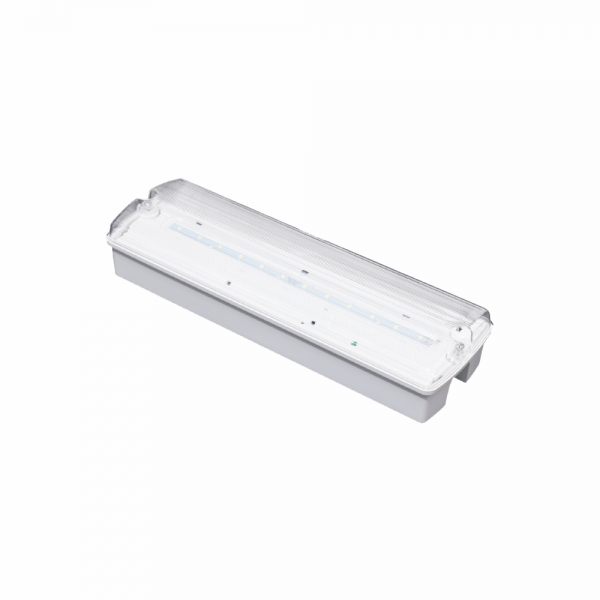3.2W IP65 Emergency Bulkhead