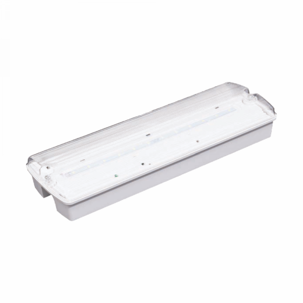 3W Slim LED Emergency Bulkhead